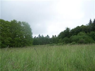 Property Photo:  688 8th Lane  WA 98333 