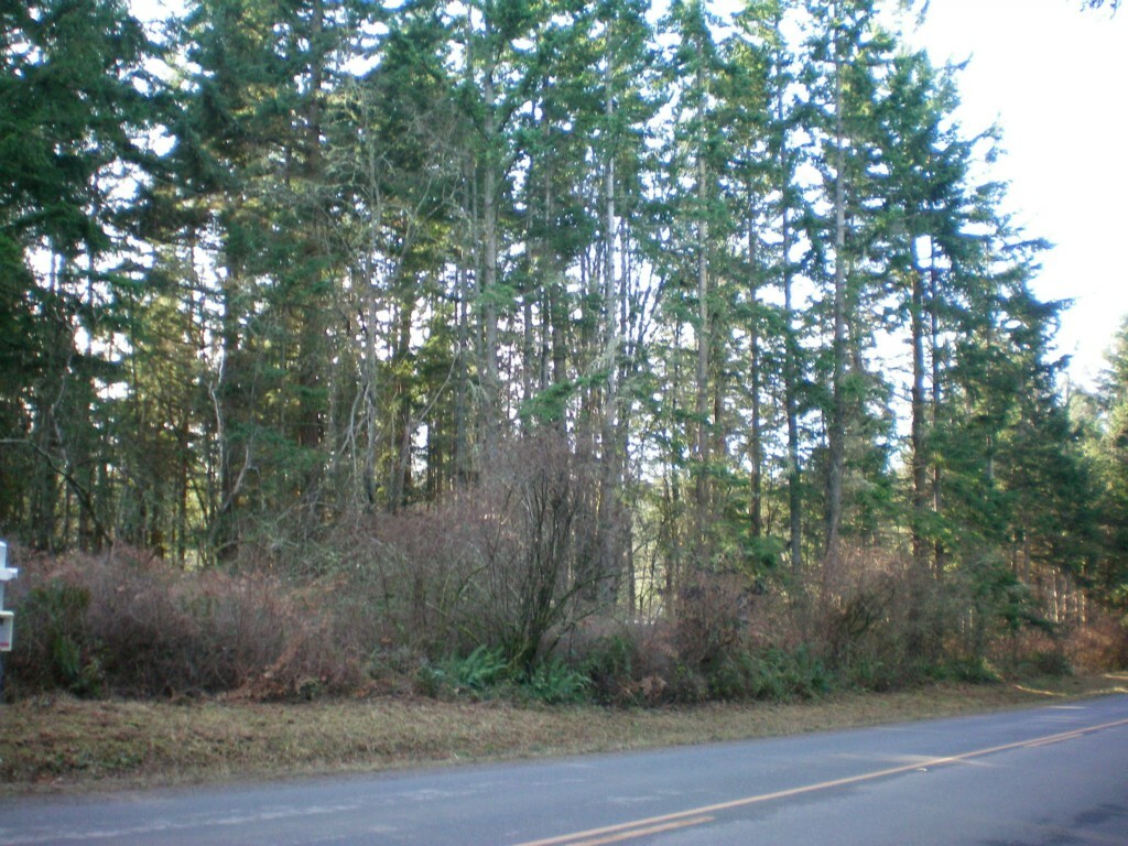 Property Photo:  999 E Dry Lake Rd  WA 98282 