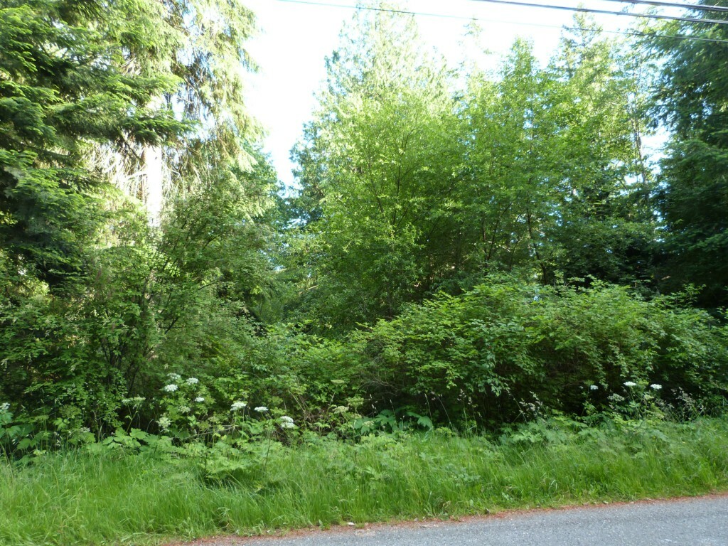 Property Photo:  13lot Holiday Blvd  WA 98221 