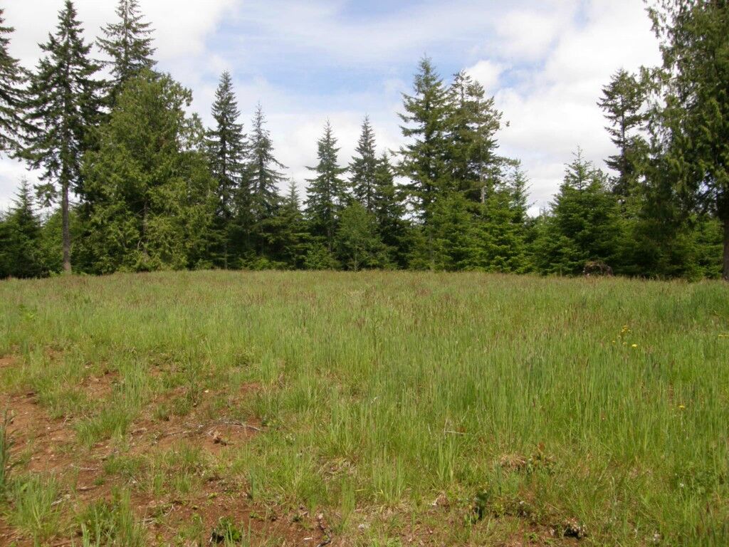 Property Photo:  0end Of Schafer Meadows Lane N  WA 98563 