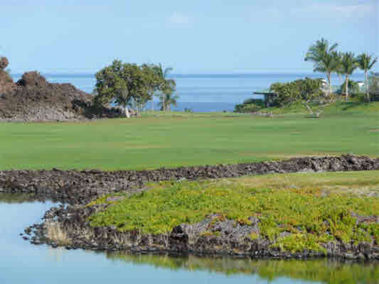Property Photo: 68-1002 Papakonane Ct HI 96743