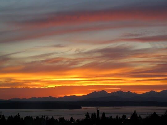 Property Photo: 5634 36th Ave SW WA 98126