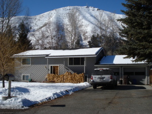 Property Photo:  1121 Silver Star Dr  ID 83333 
