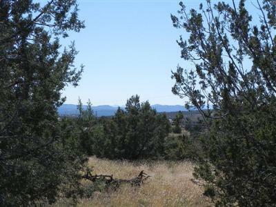 Property Photo:  0 160 Acres, Cienega Road  AZ  