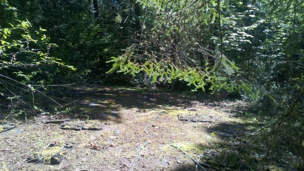 Property Photo:  680 E State Route 302  WA 98528 