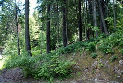 Property Photo: 621 Rodeo Rd WA 98922