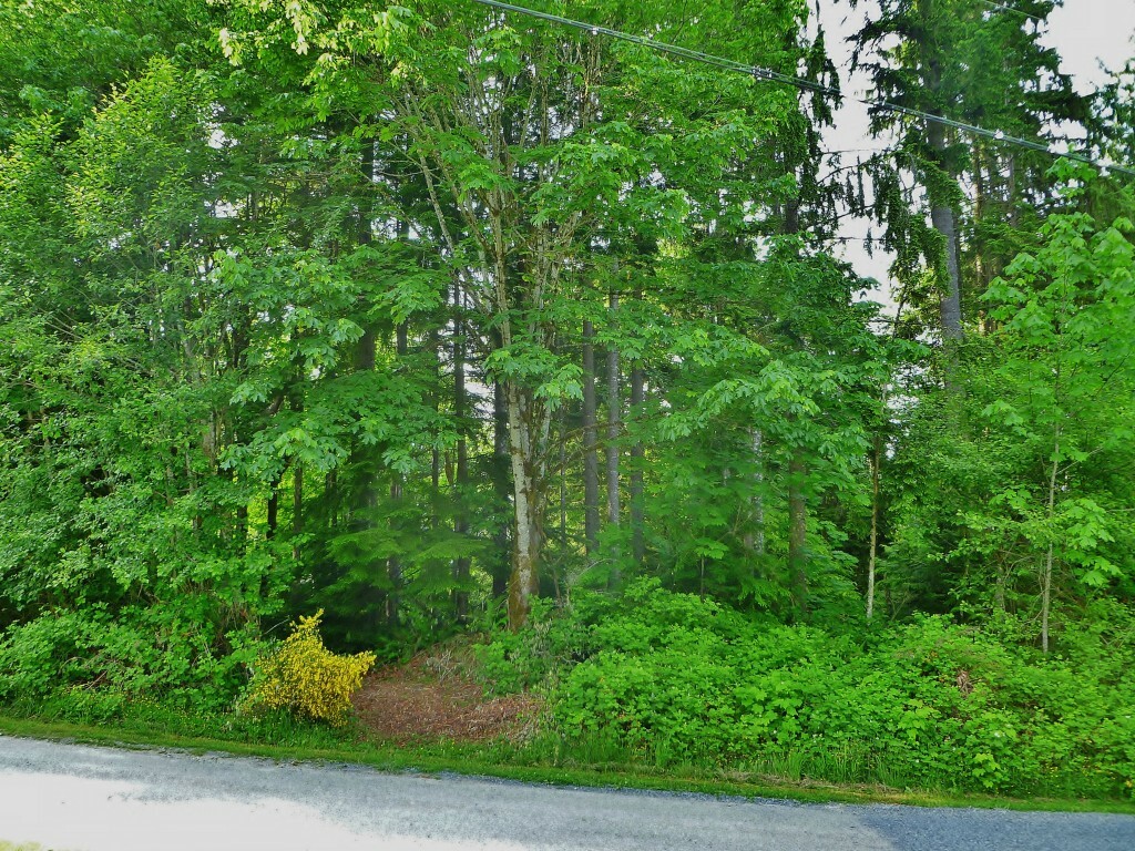 Property Photo:  26700 175th Place SE  WA 98272 