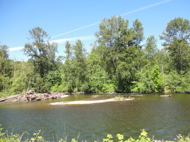 Property Photo: 1902 Riverview Dr NE WA 98002
