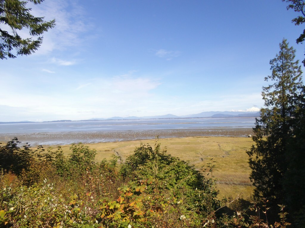 Property Photo:  1009 E Utsalady Rd  WA 98282 