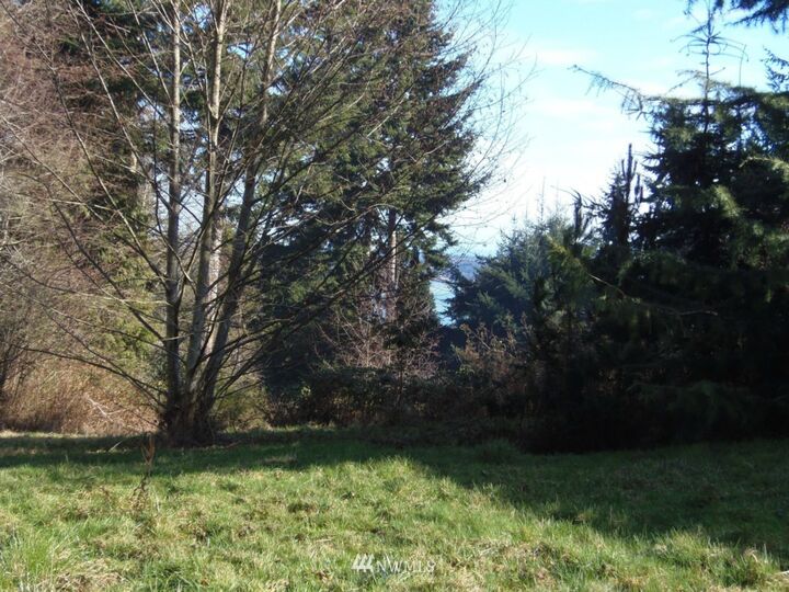 Property Photo: 0 Lot 5 Silver Crest Court WA 98260