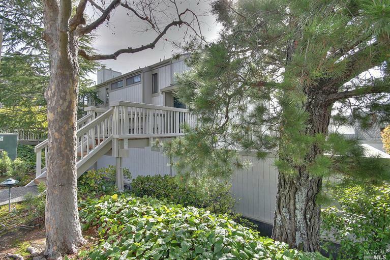 Property Photo:  517 South Eliseo Drive  CA 94904 