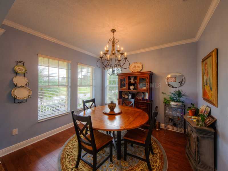 Property Photo:  6105 Churchside Drive  FL 33547 