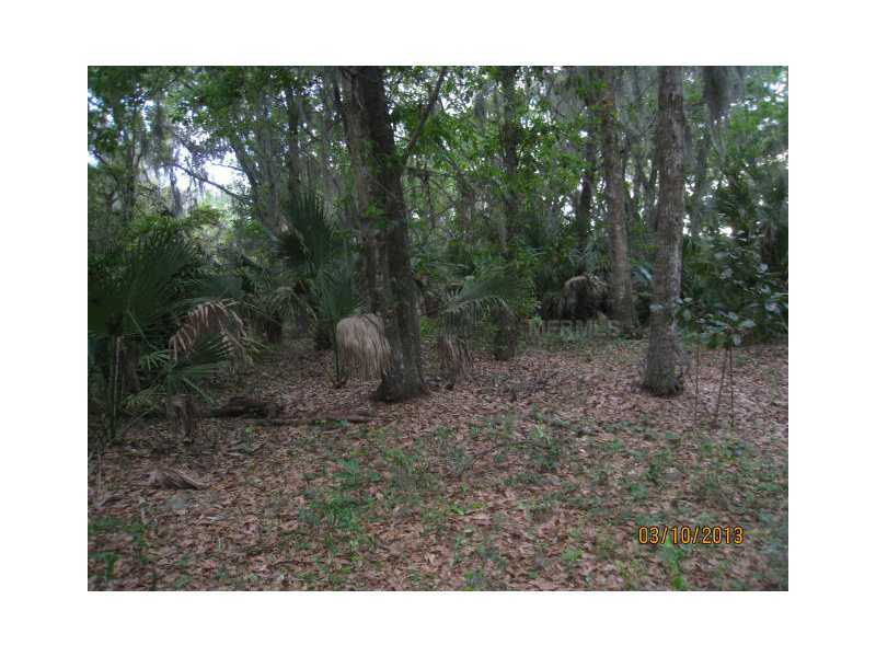 Property Photo:  13211 Balm Boyette Road  FL 33579 