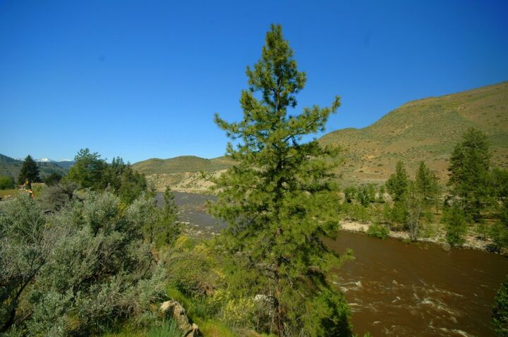 Property Photo:  3lot Lazy L Lane  WA 98834 