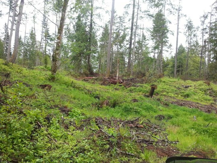 Property Photo: 302 Victor Rd WA 98528