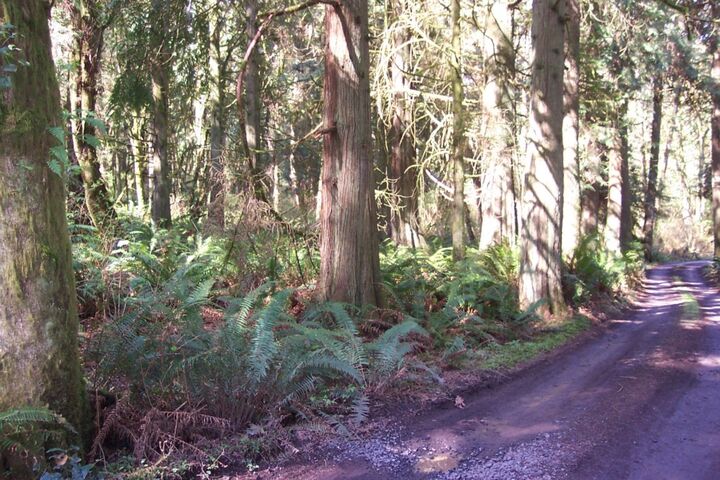 0 Eisenhardt Lane  Poulsbo WA 98370 photo