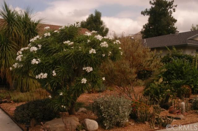 Property Photo:  325 Maravilla Drive  CA 92507 