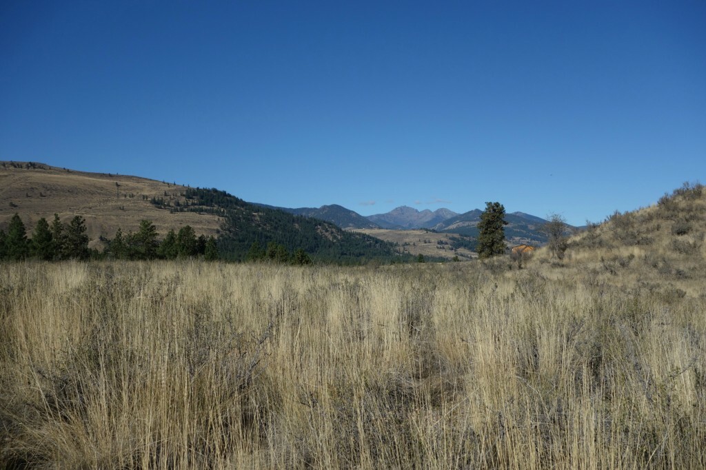 Property Photo:  0 Palomino Rd N  WA 98862 