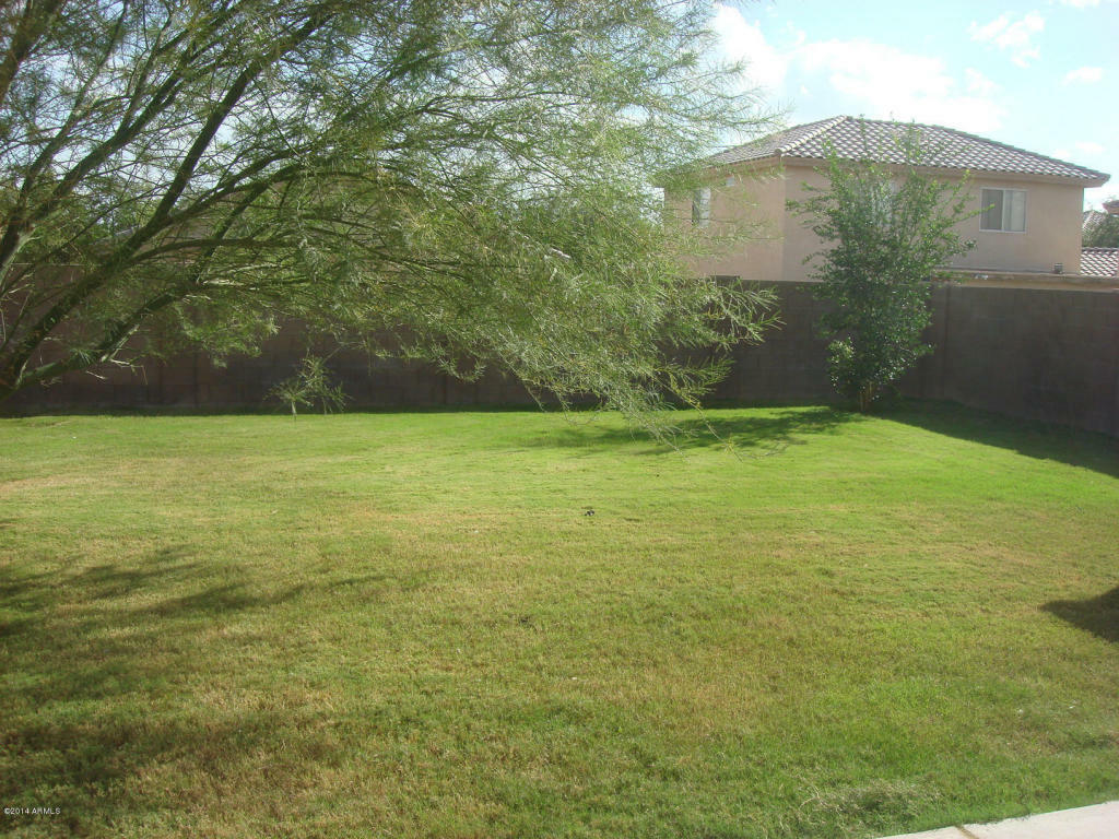 Property Photo:  12029 W Columbine Drive  AZ 85335 