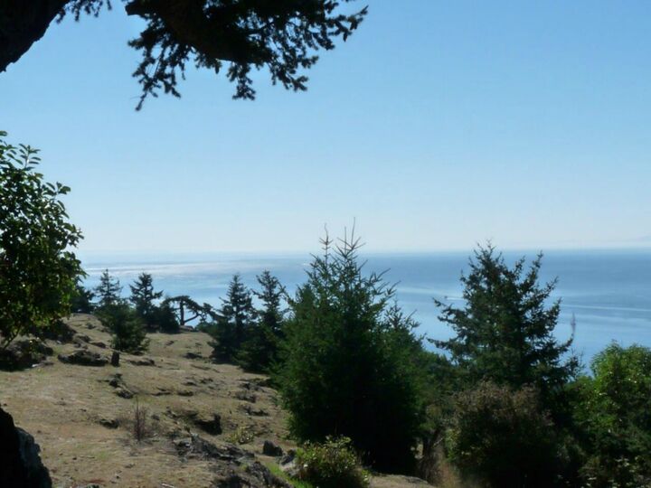 Property Photo: 240 Blackberry Lane WA 98250