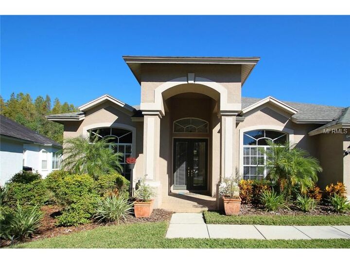 Property Photo:  19321 Wind Dancer Street  FL 33558 