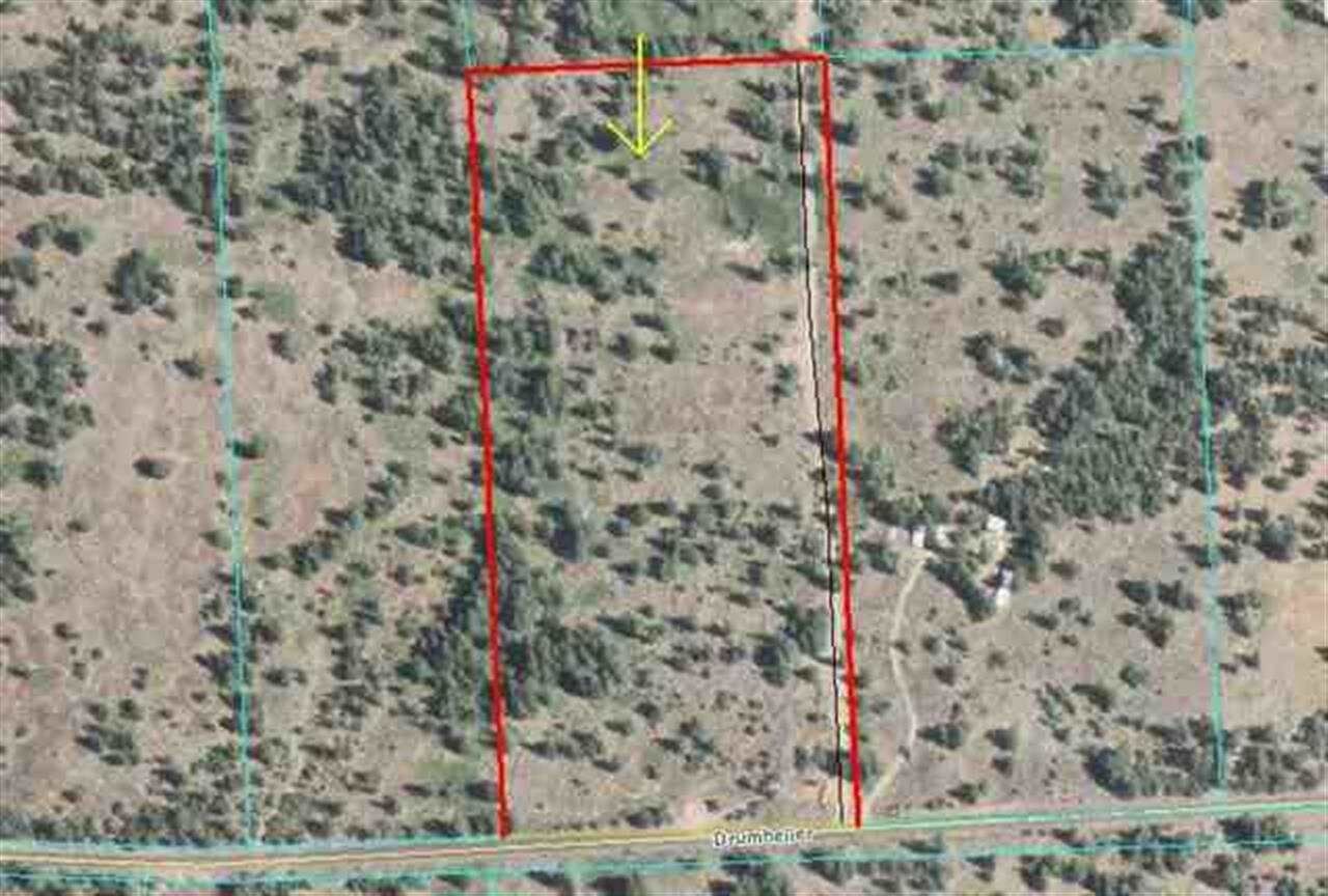 Property Photo:  Drumheller Rd  WA 99004 