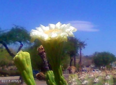 Property Photo: 9555 E Raintree Drive 2064 AZ 85260
