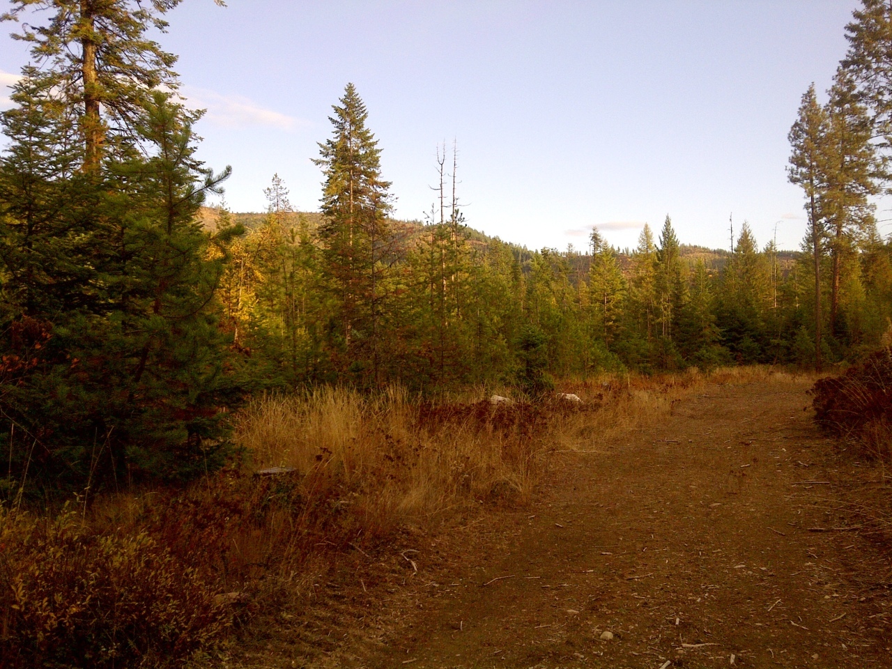 Property Photo:  4460 Grouse Creek Rd  WA 99109 