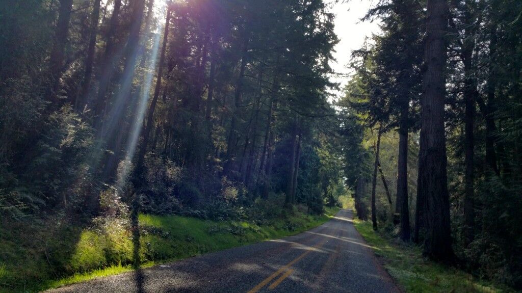 Property Photo: 12618 Lovass Rd WA 98303