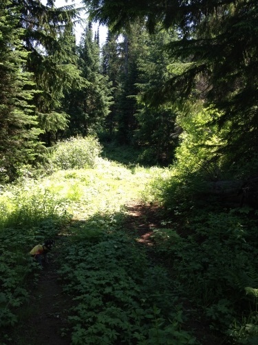 Property Photo: X N Travis Rd WA 99021
