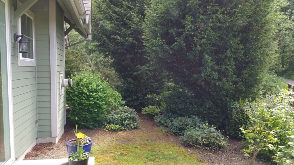 Property Photo:  4601 Quinn Ct  WA 98226 