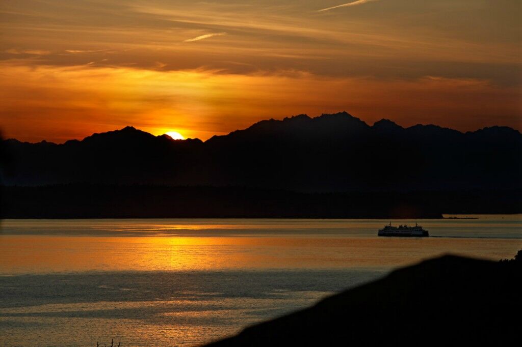 Property Photo:  3931 SW Arroyo Dr  WA 98146 