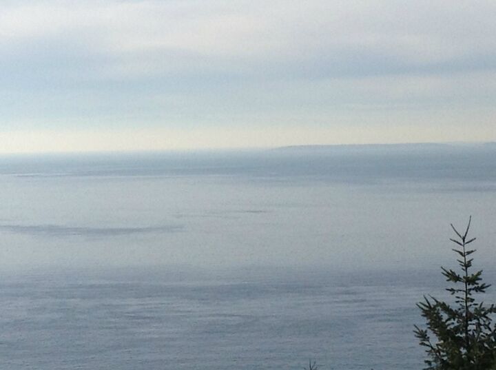 Property Photo: 240 Blackberry Lane WA 98250