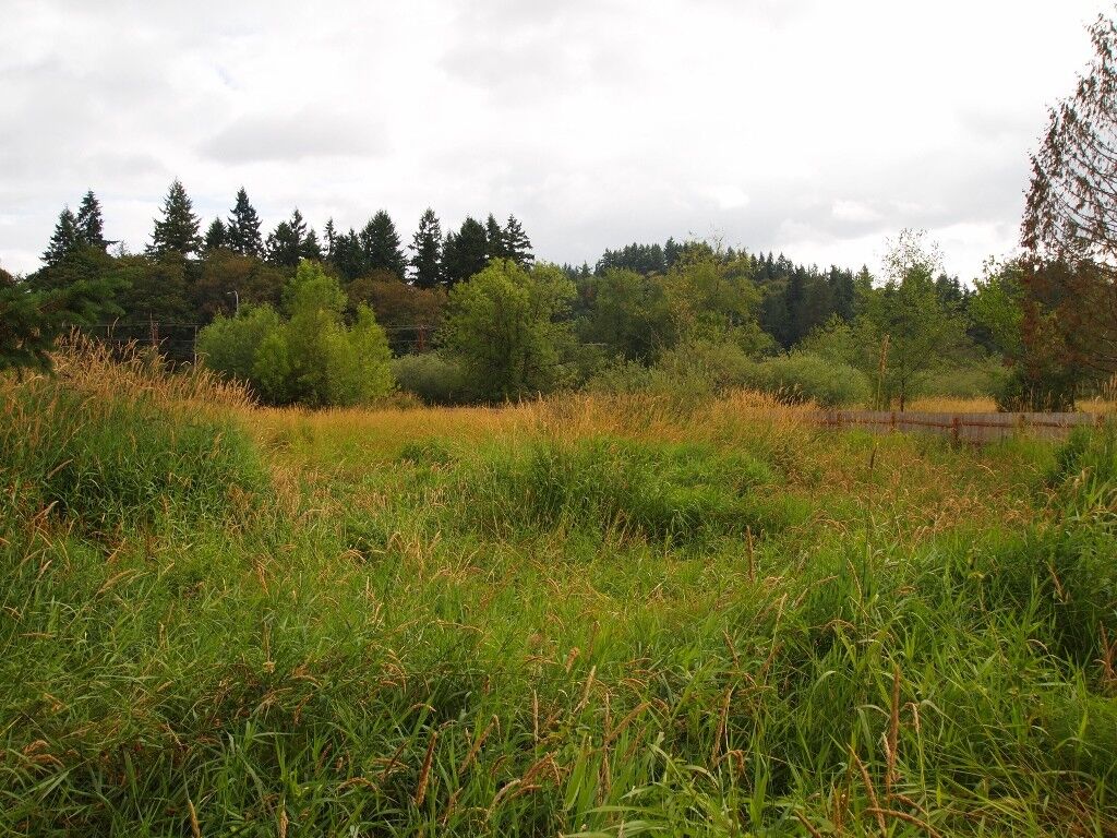 Property Photo:  5110 192nd Place NE  WA 98074 