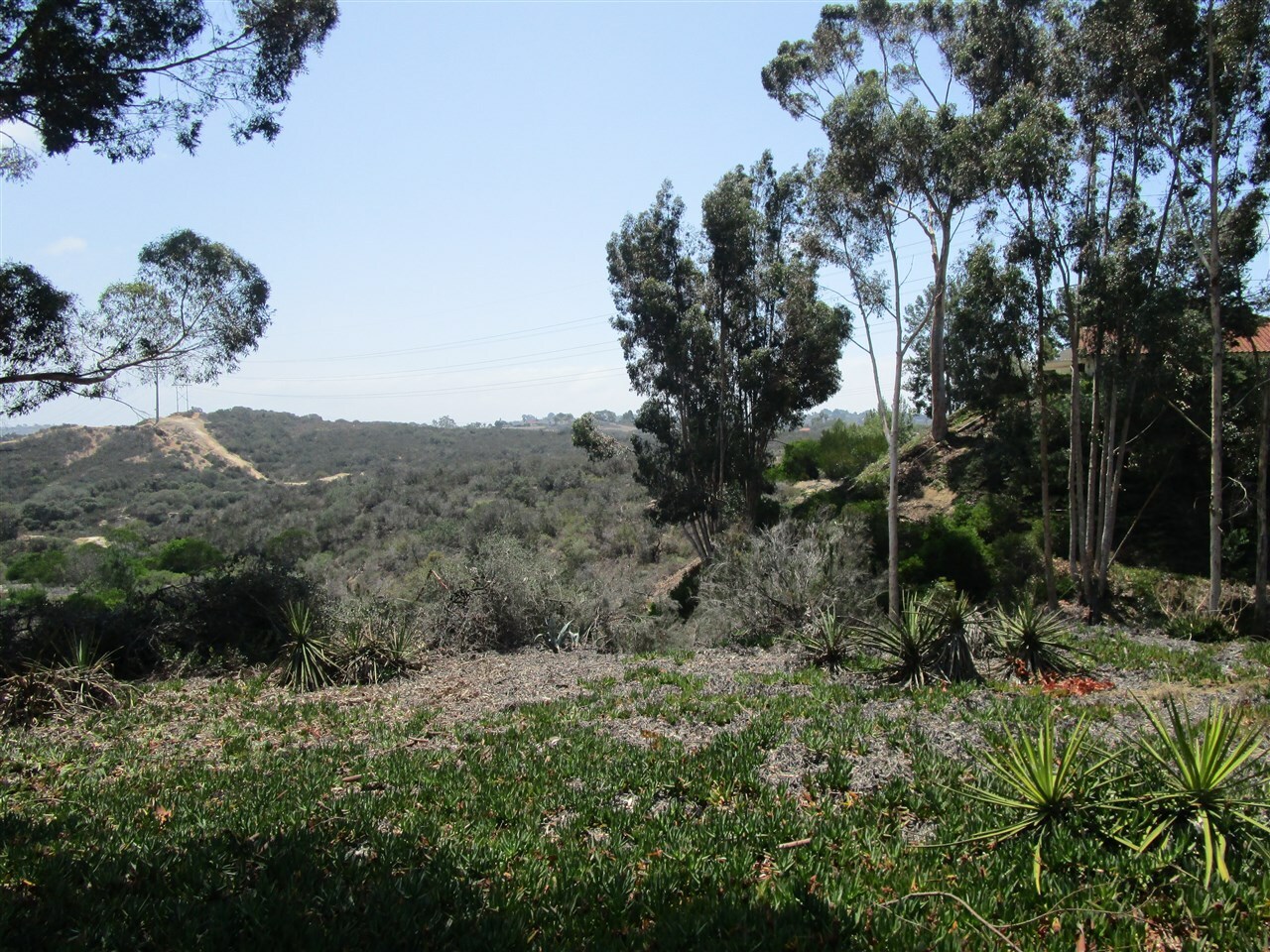 Property Photo: 2133 Valleydale CA 92024