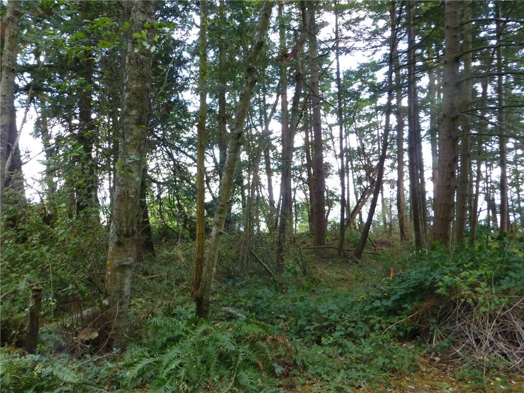 Property Photo:  0 Parker Rd  WA 98282 