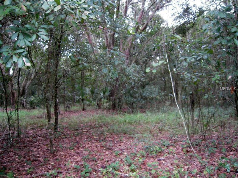 Property Photo:  28872 Walker Drive  FL 33544 