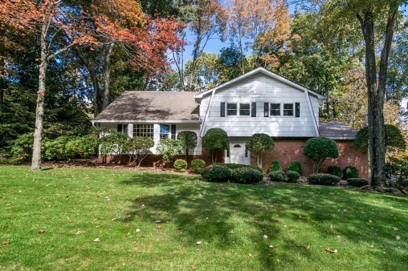 Property Photo:  3 Alpine Dr  NJ 07869 