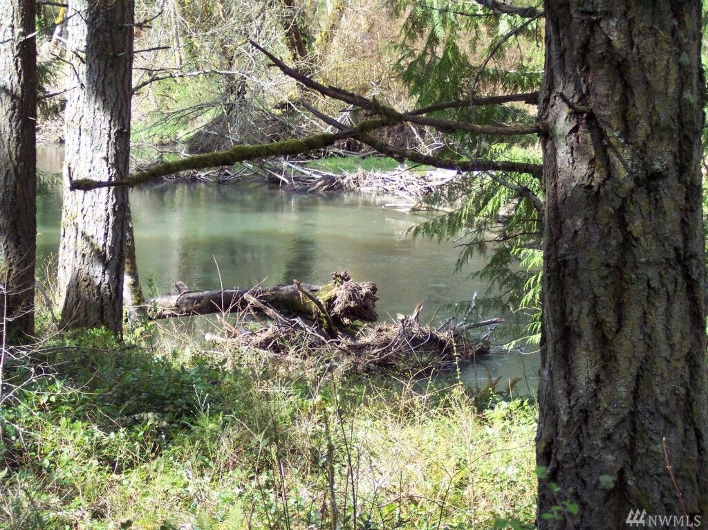 Property Photo:  14318 Vail Cut Off Rd SE  WA 98576 