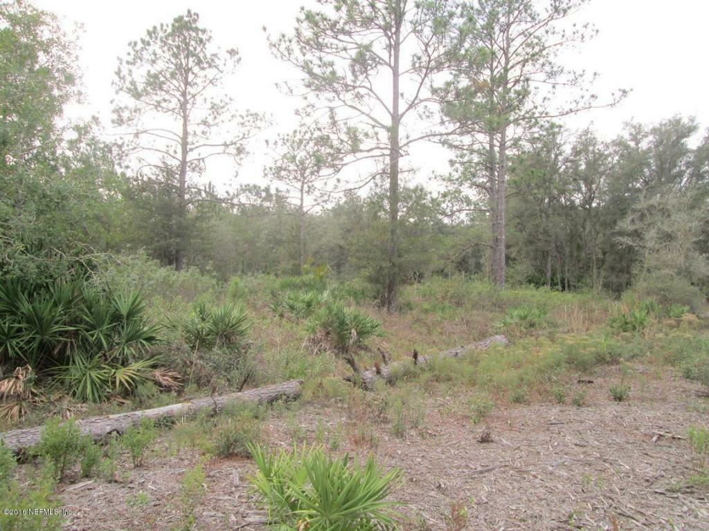 Property Photo:  127 Pine Tree Drive  FL  