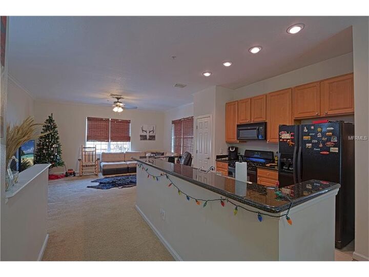 Property Photo: 537 Jasmine Way FL 33756