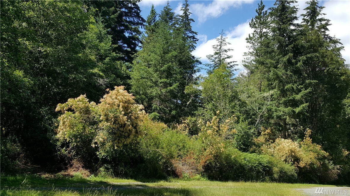 Property Photo:  0 Alaska Place  WA 98250 