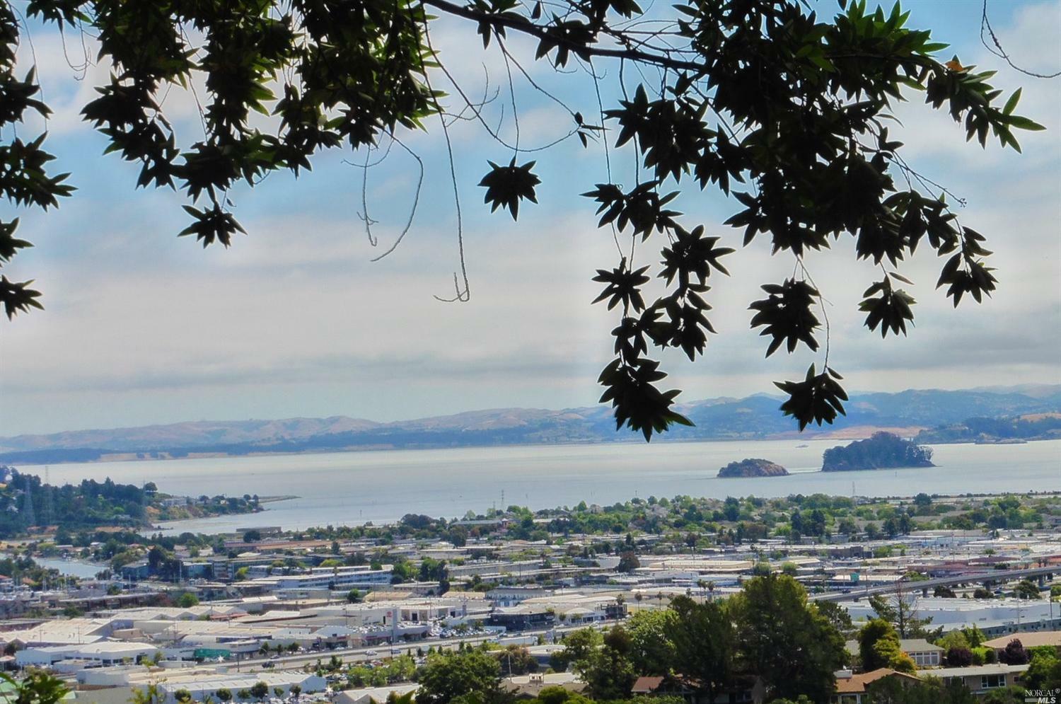 108 Southern Heights  San Rafael CA 94901 photo