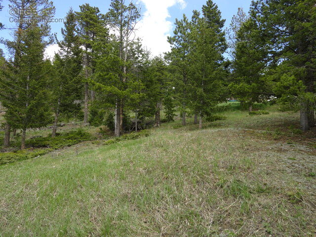Property Photo: 0 Lickskillet Rd CO 80302