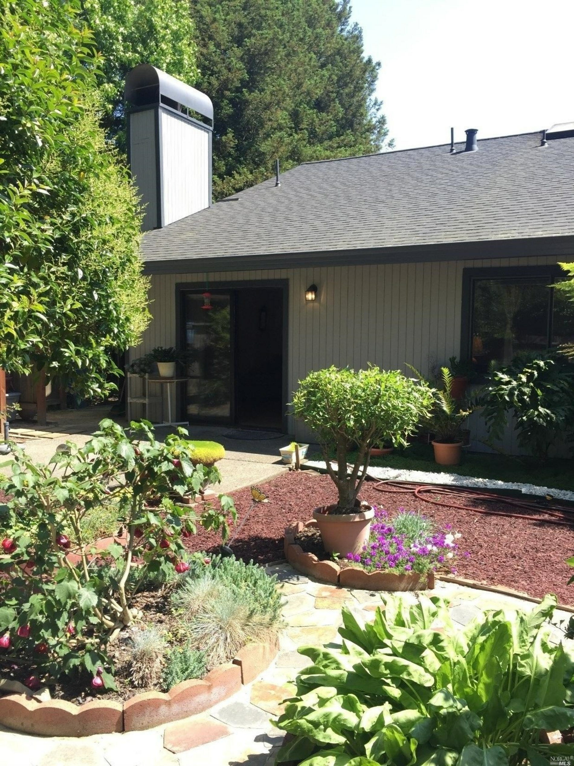 Property Photo:  2467 Big Oak Drive  CA 95401 