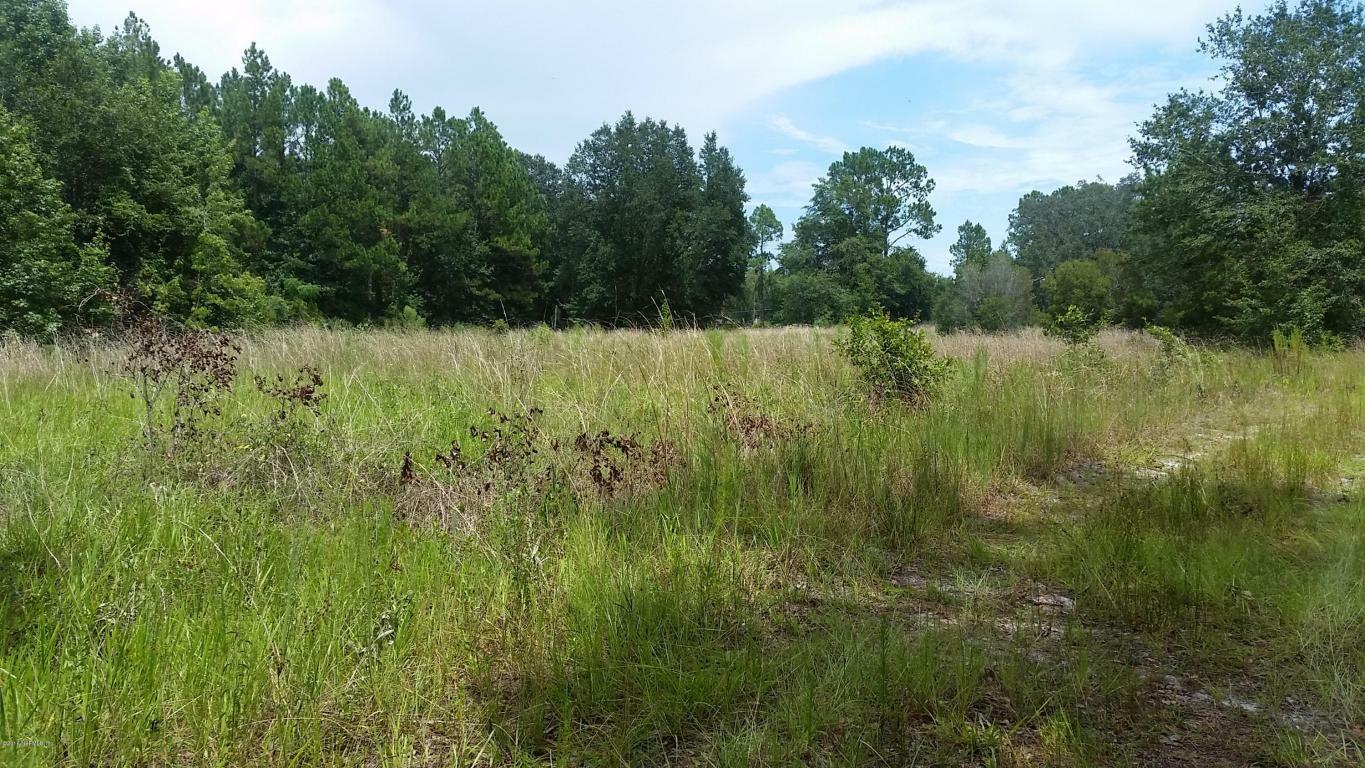 114 Bostwick Cemetery Road  Palatka FL 32177 photo