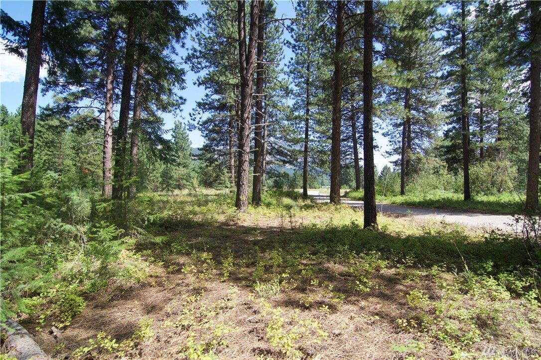 Property Photo:  10 Liberty Lane  WA 98862 