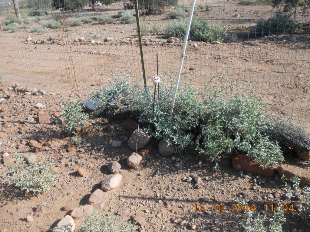 Property Photo:  5952 E Cactus Wren -- 0  AZ 85119 