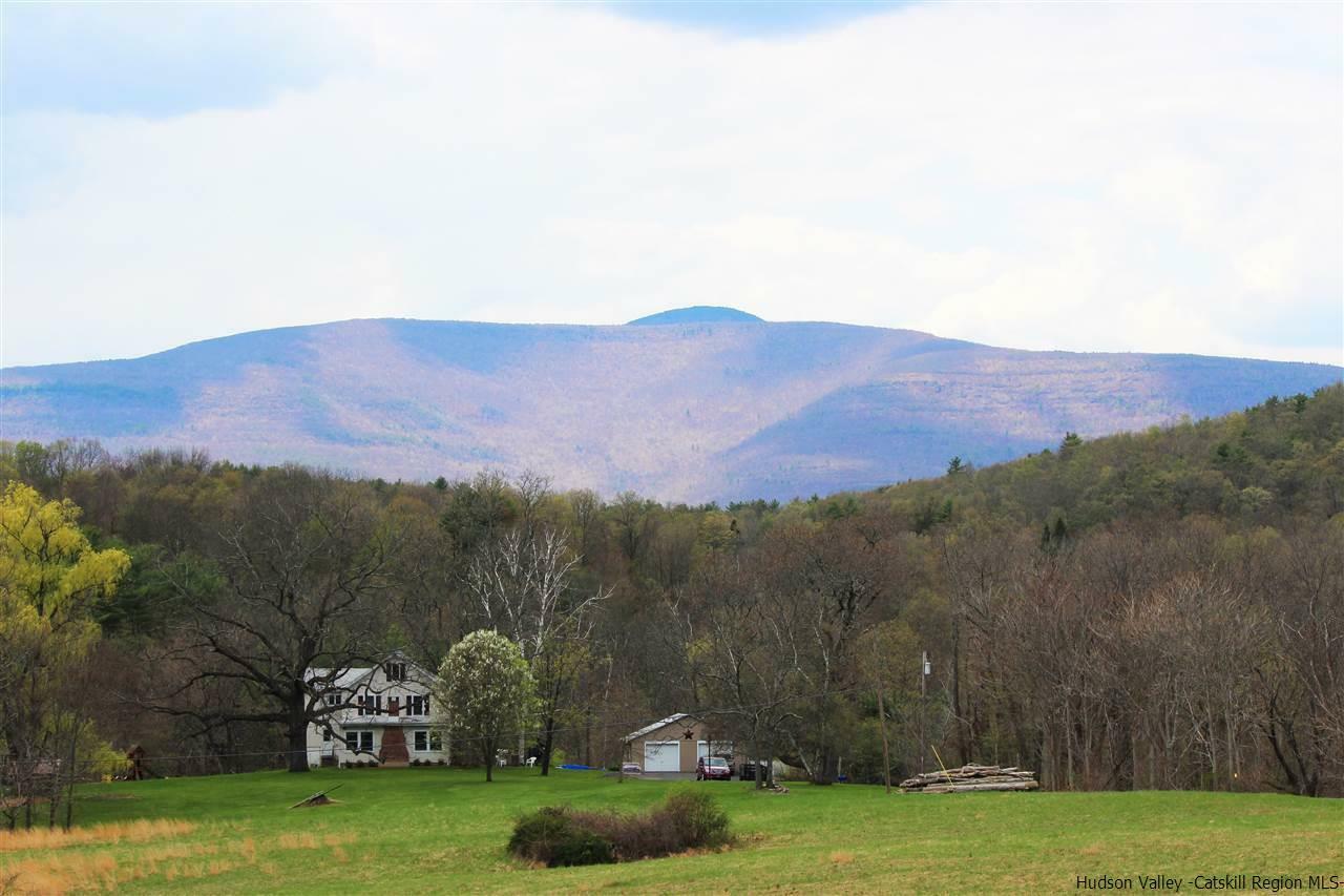 Property Photo: 127 Dave Elliott NY 12477