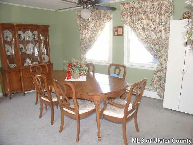 Property Photo:  203 Dewitt  NY 12443 